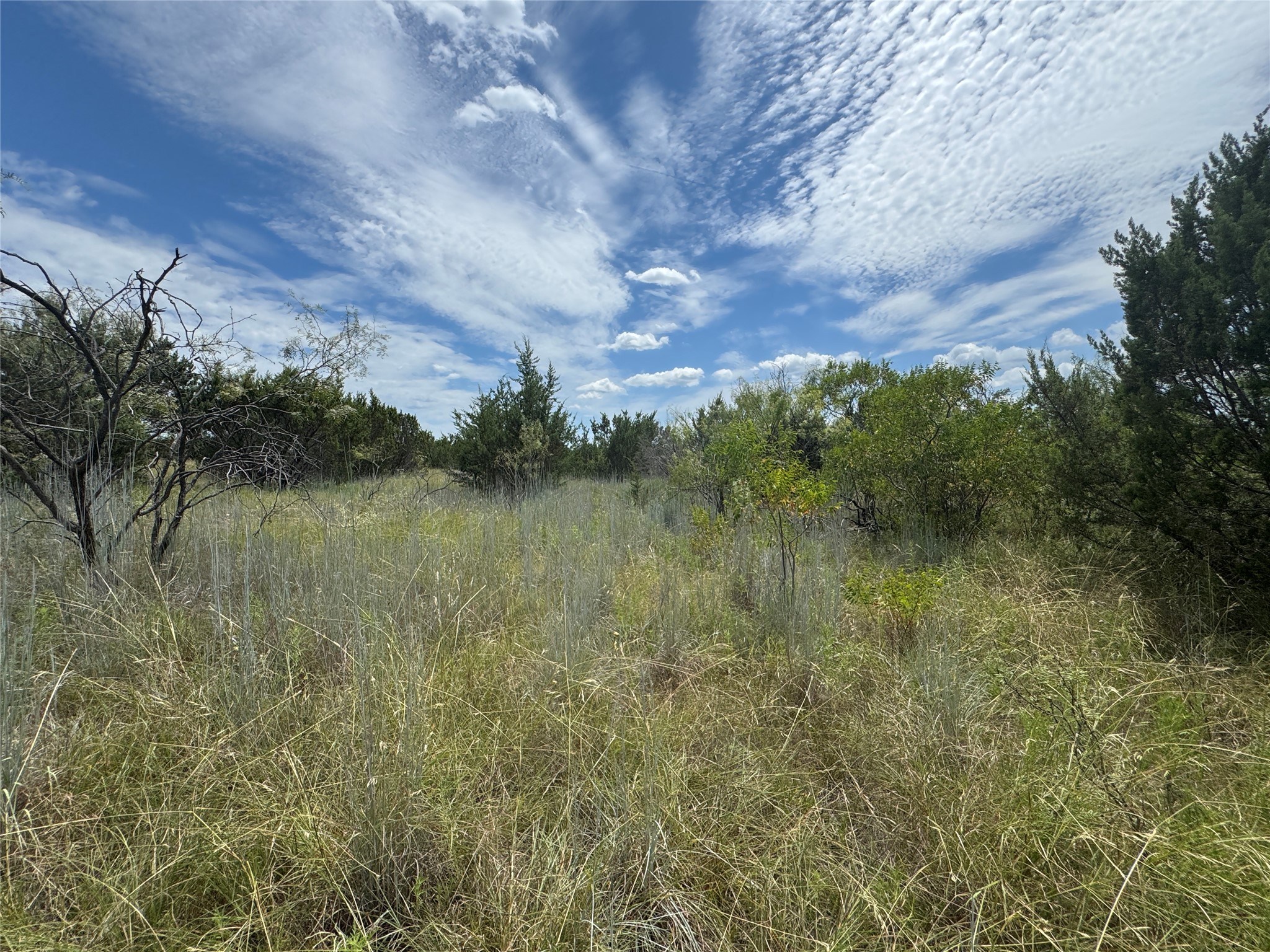 7800 Boswell Court Lipan TX 76462