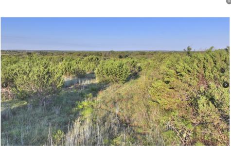 7800 Boswell Court Lipan TX 76462