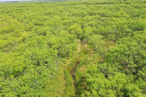 Tbd Davis Ln-tract 8 Bellevue TX 76228