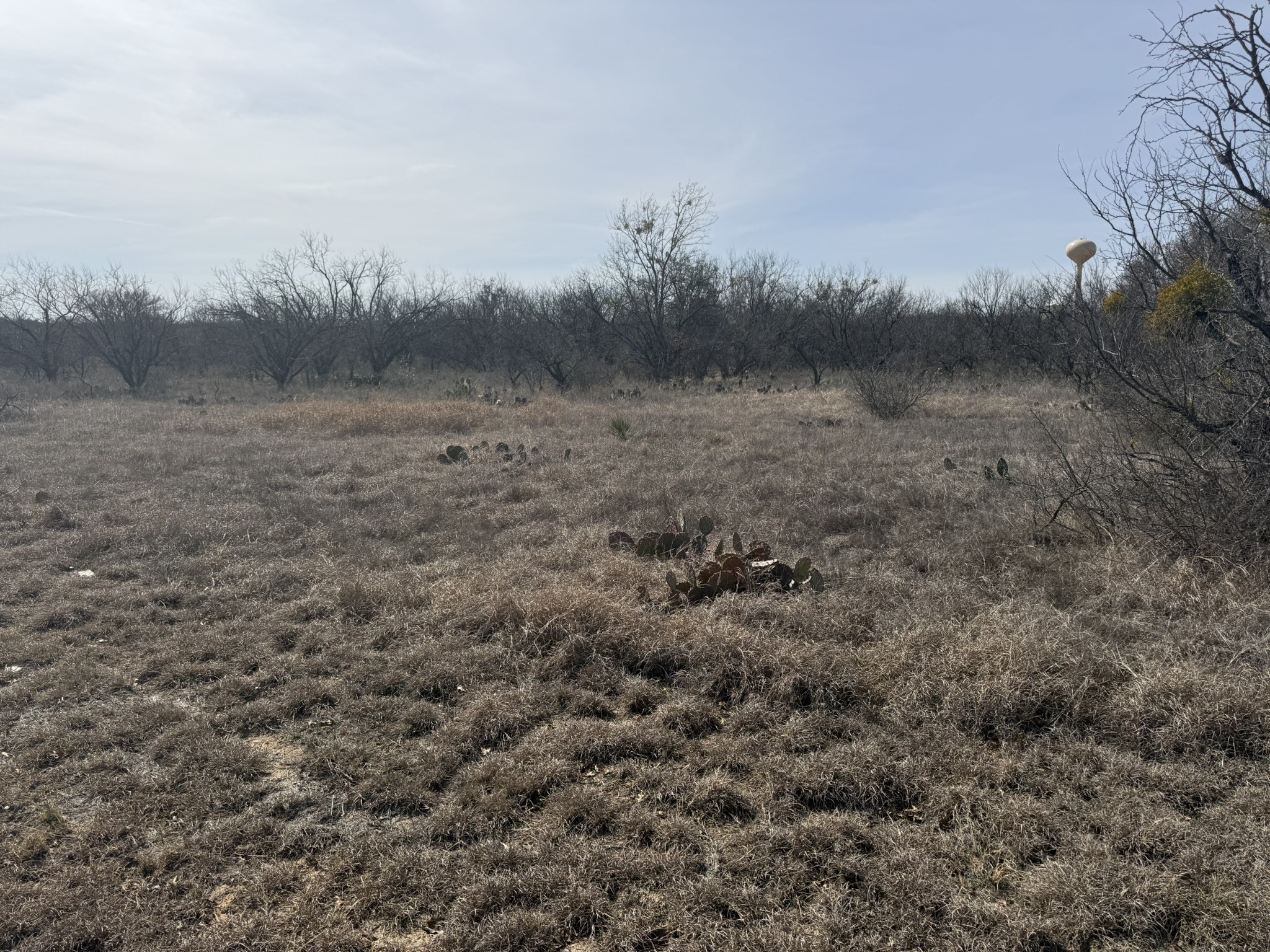 Tbd 1.75 Acres Sherwood Drive Brownwood TX 76801