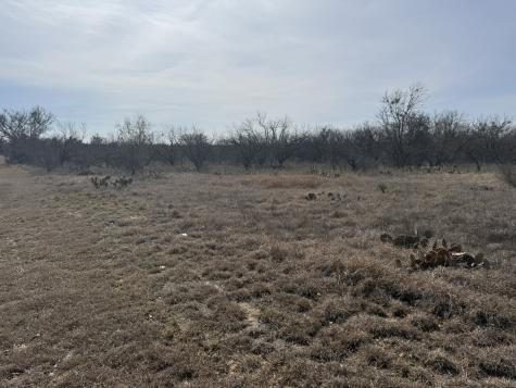 Tbd 1.75 Acres Sherwood Drive Brownwood TX 76801