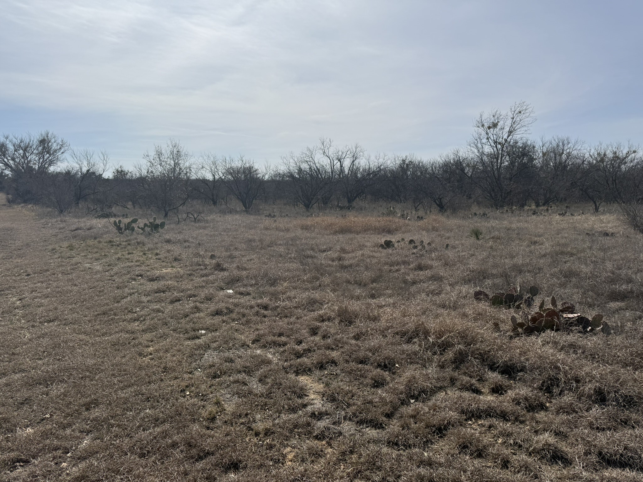 Tbd 1.75 Acres Sherwood Drive Brownwood TX 76801