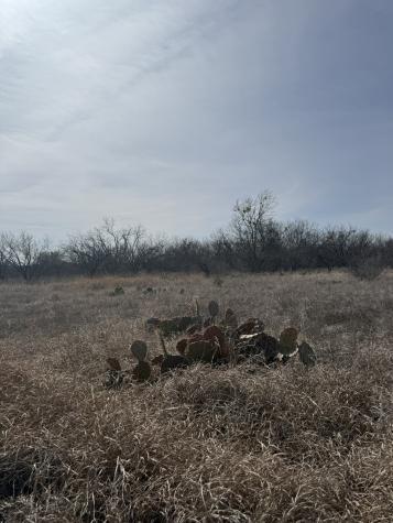 Tbd 1.75 Acres Sherwood Drive Brownwood TX 76801
