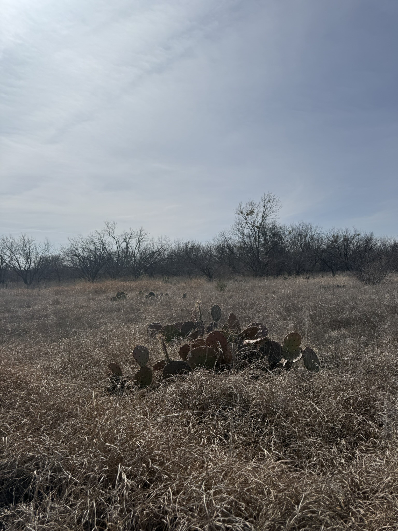 Tbd 1.75 Acres Sherwood Drive Brownwood TX 76801