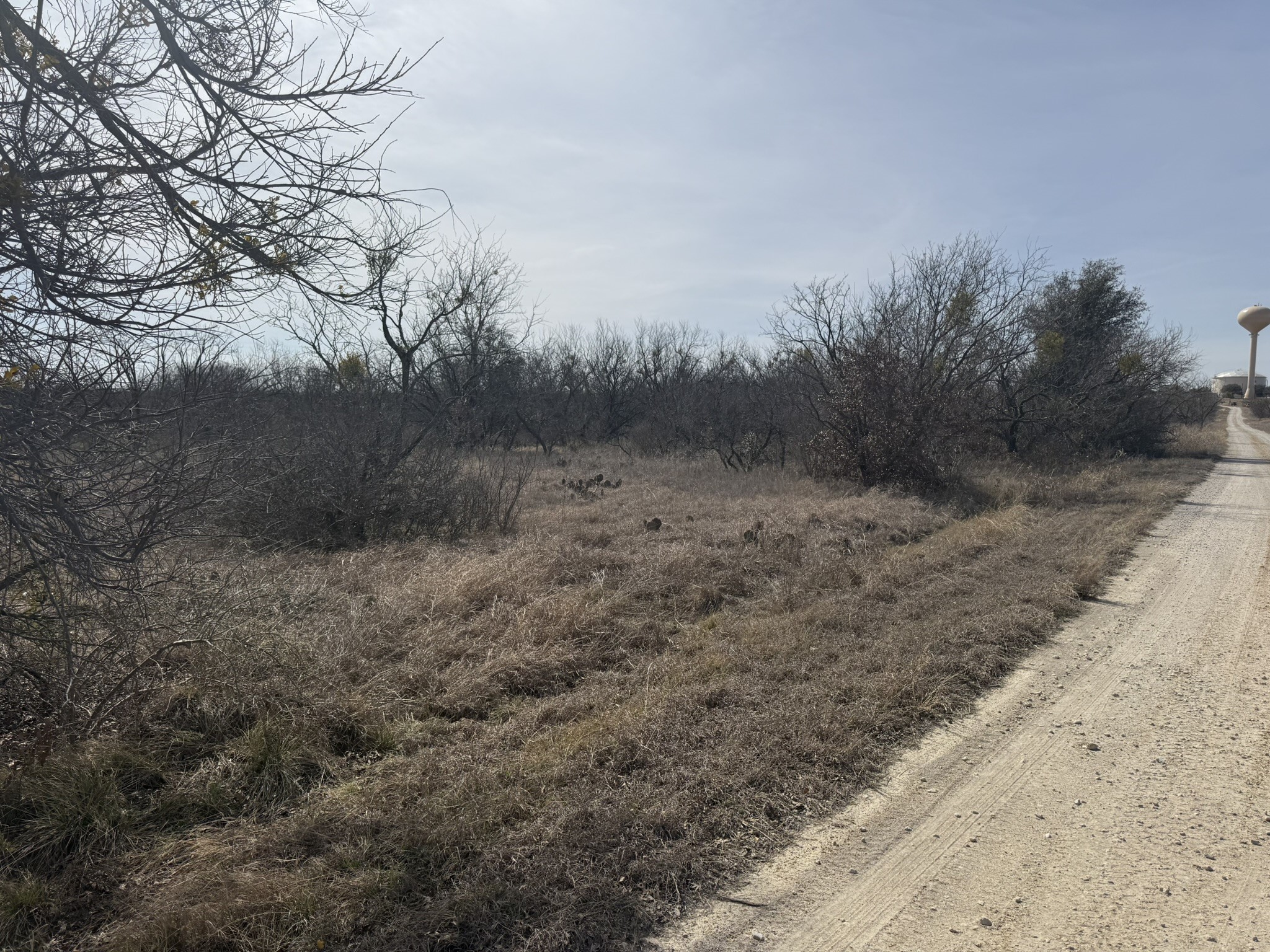 Tbd 1.75 Acres Sherwood Drive Brownwood TX 76801