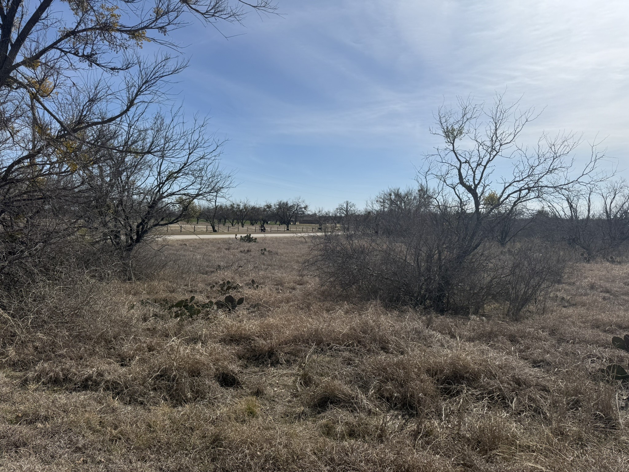 Tbd 1.75 Acres Sherwood Drive Brownwood TX 76801