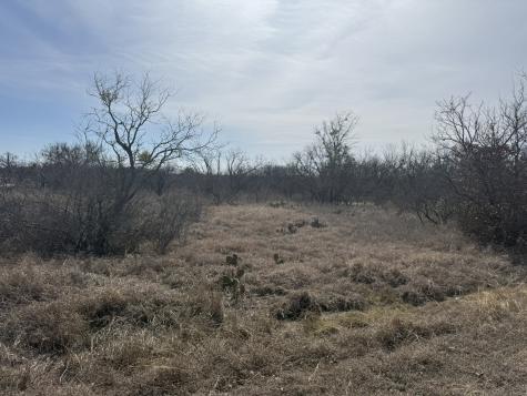 Tbd 1.75 Acres Sherwood Drive Brownwood TX 76801
