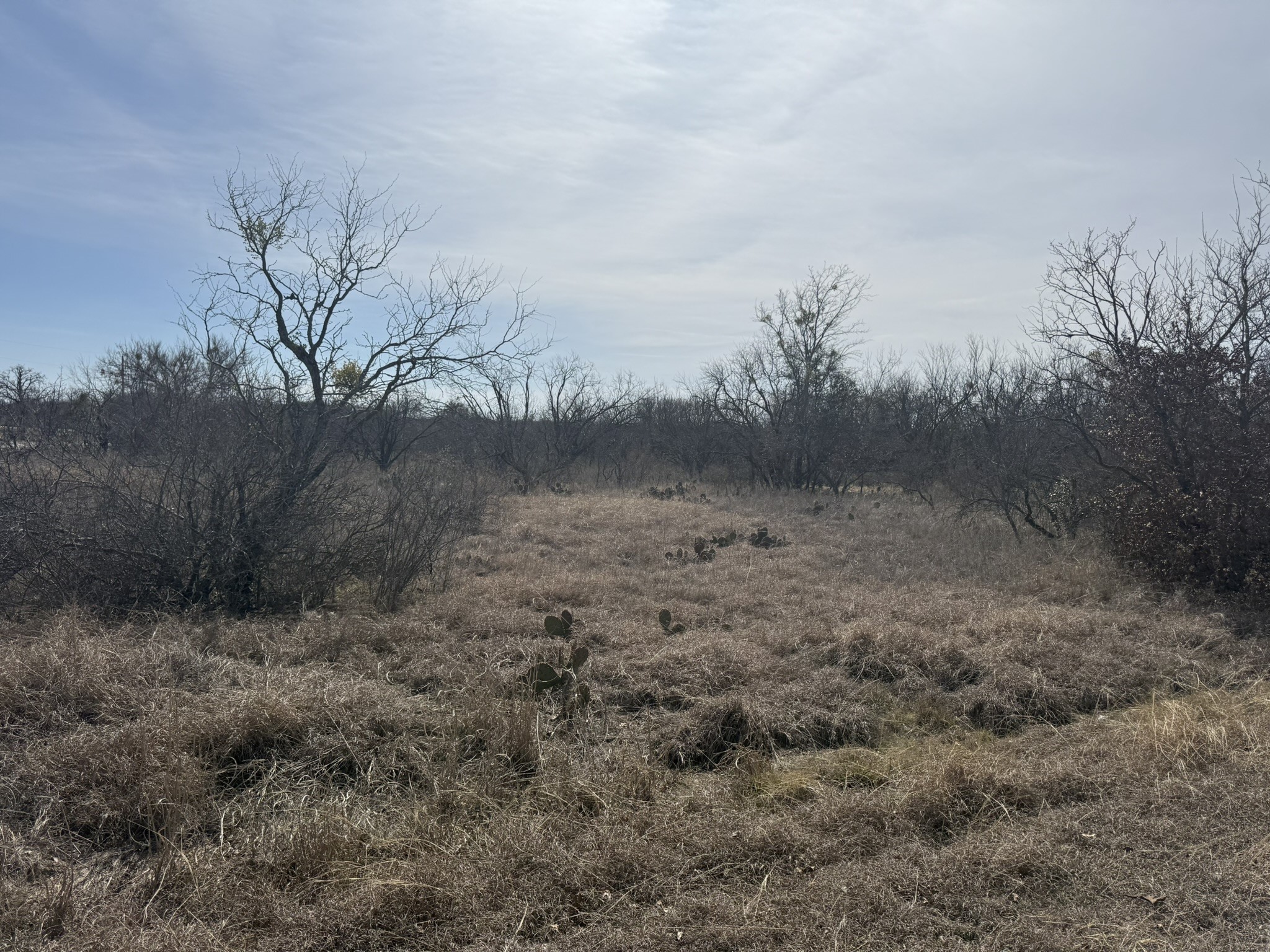 Tbd 1.75 Acres Sherwood Drive Brownwood TX 76801