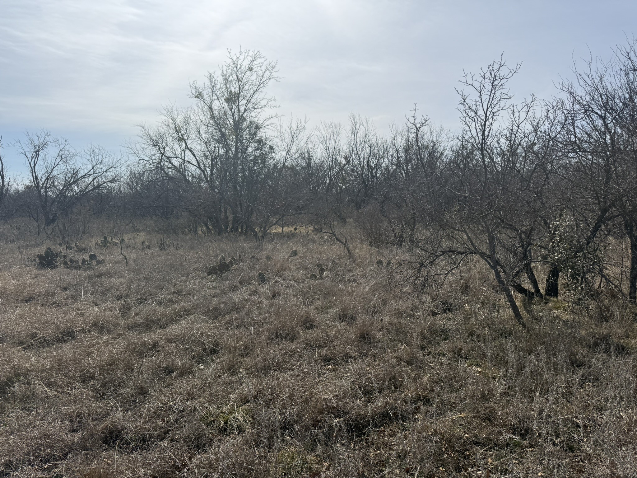 Tbd 1.75 Acres Sherwood Drive Brownwood TX 76801