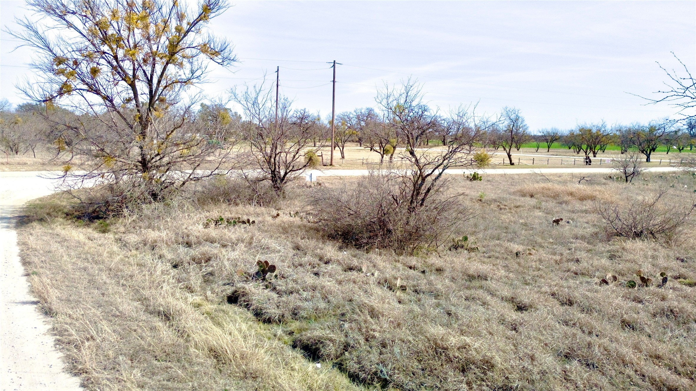 Tbd 1.75 Acres Sherwood Drive Brownwood TX 76801