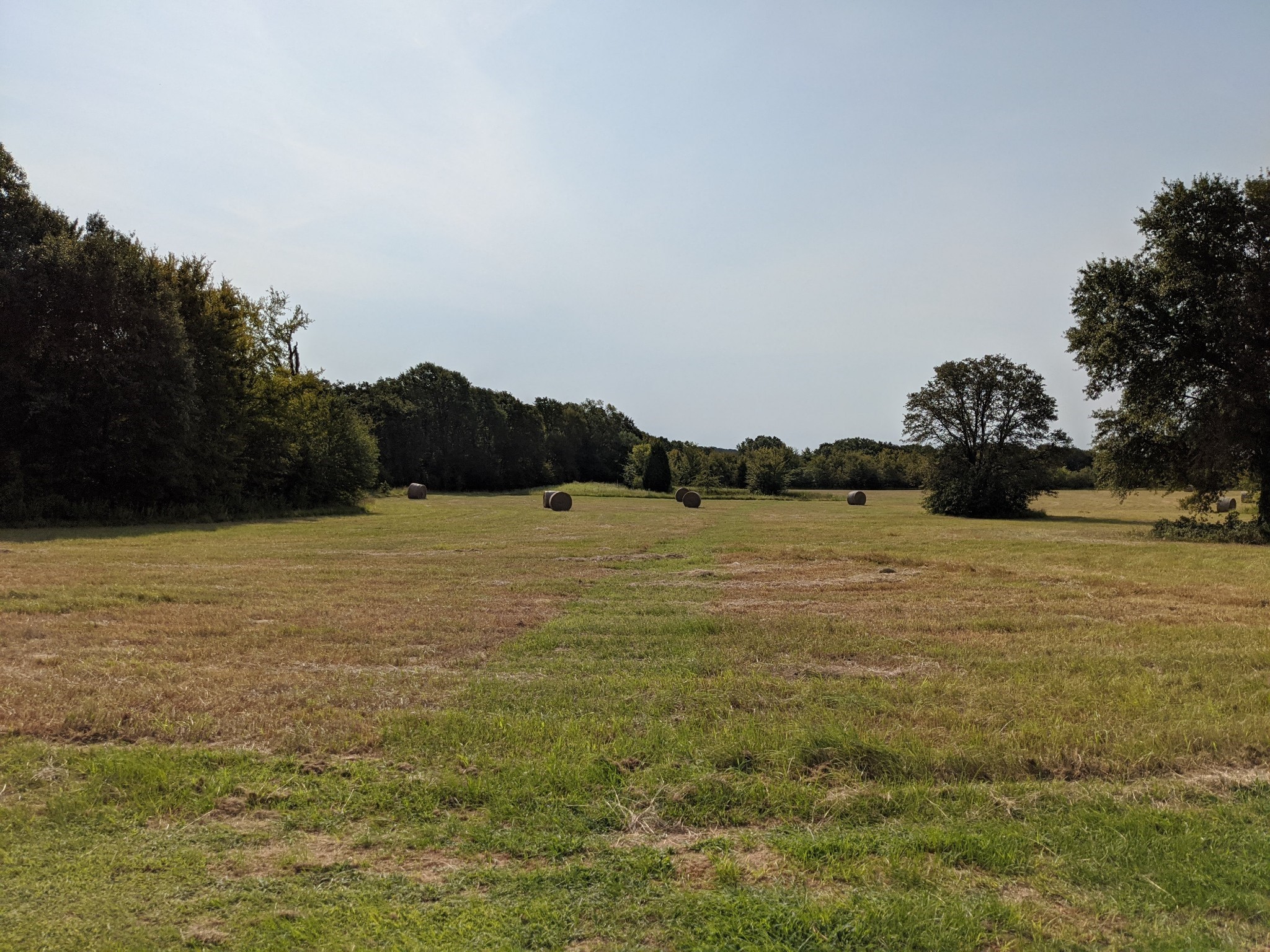 8698 Richardson Road Athens TX 75752
