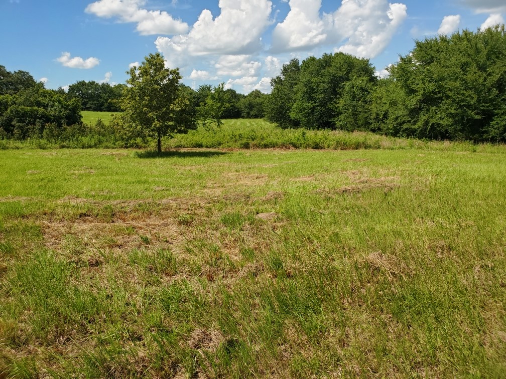 Lot 2 Rains Cr1140 Road Emory TX 75440