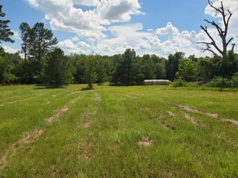 Lot 2 Rains Cr1140 Road Emory TX 75440