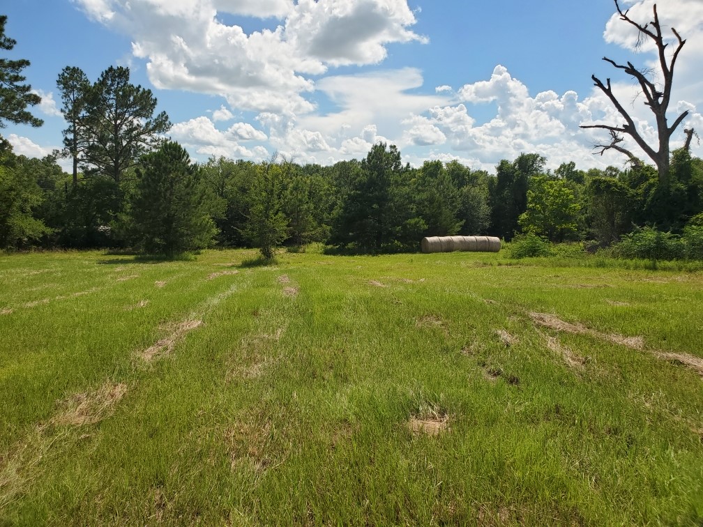 Lot 2 Rains Cr1140 Road Emory TX 75440