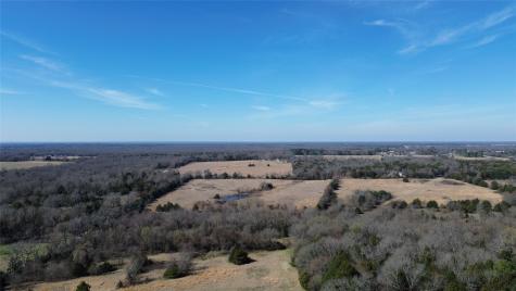 Lot 2 Rains Cr1140 Road Emory TX 75440