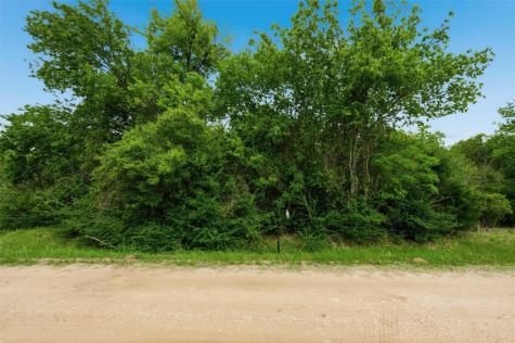TBD Melondale Drive Elm Mott TX 76640