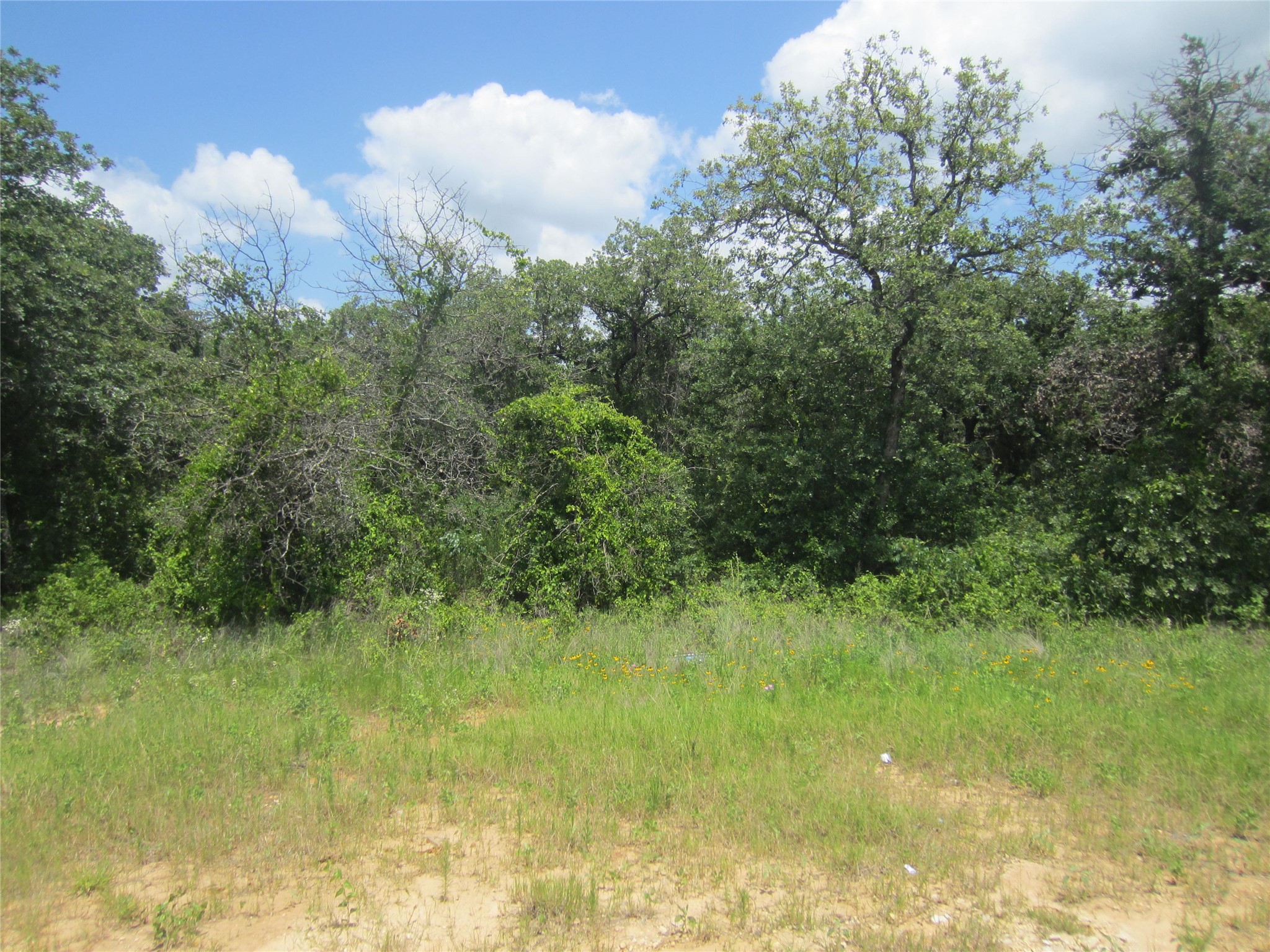 625 Dana Court Tolar TX 76476