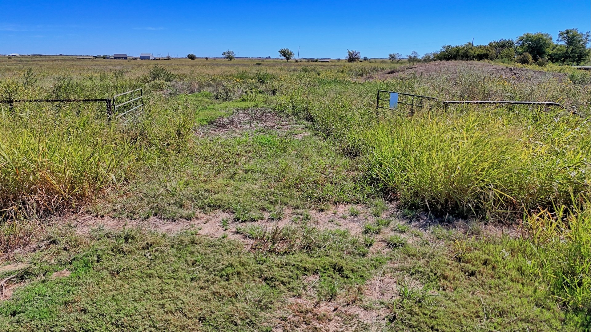 Tbd Dunn Road Olney TX 76374