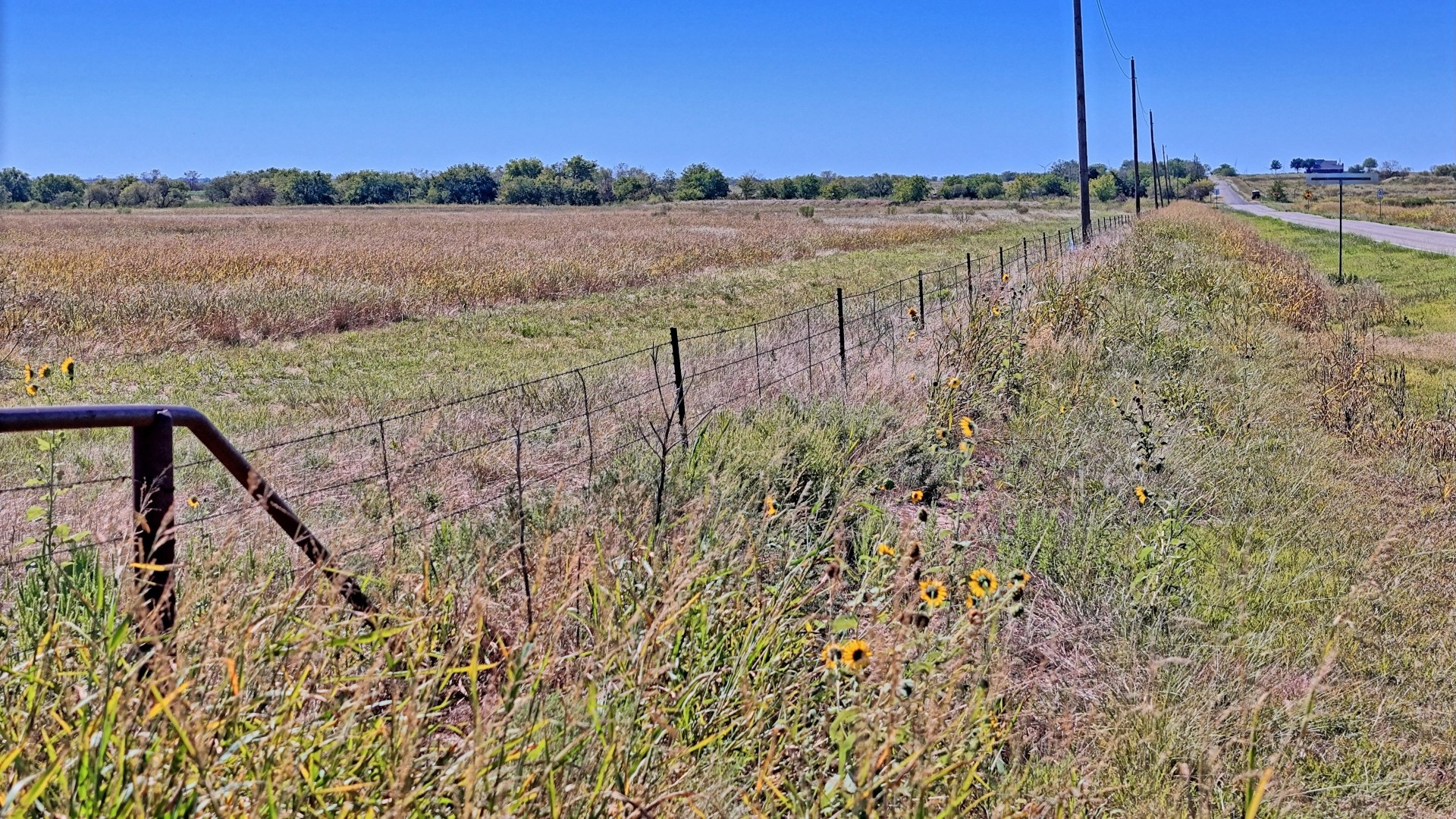 Tbd Dunn Road Olney TX 76374