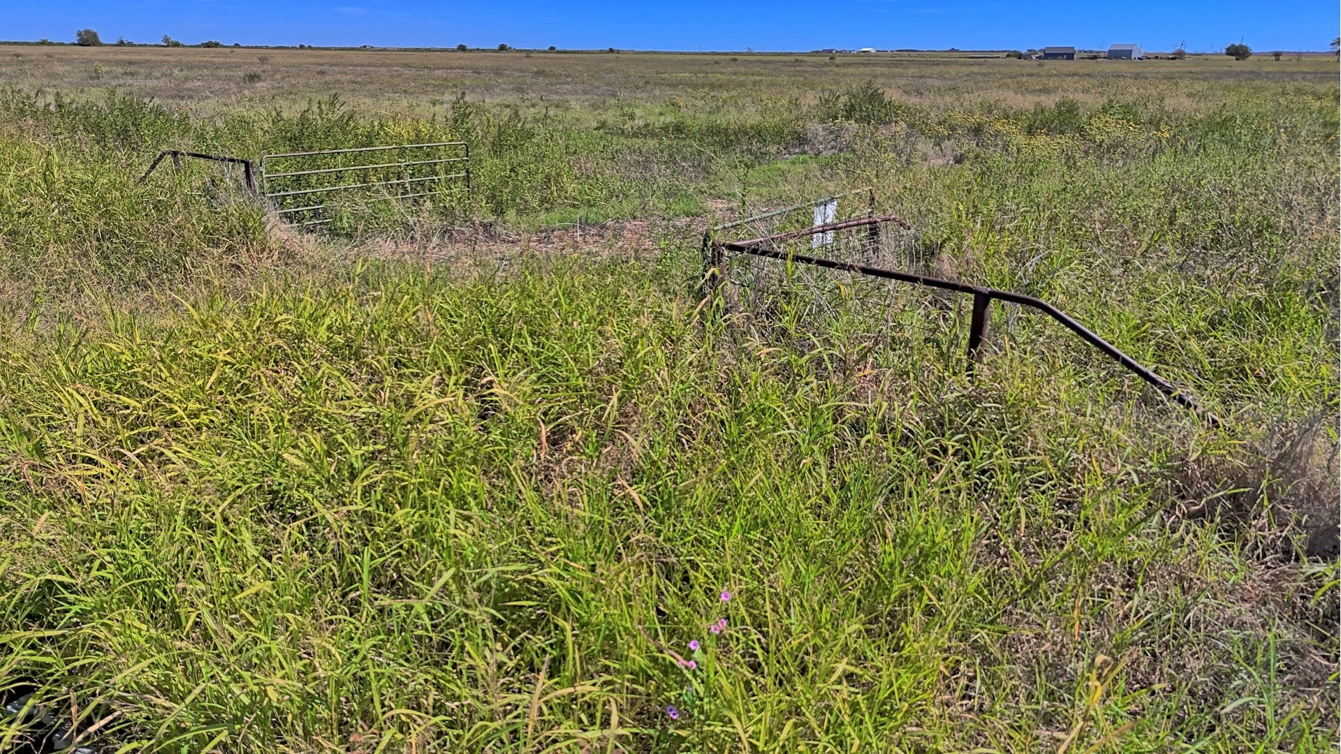 Tbd Dunn Road Olney TX 76374