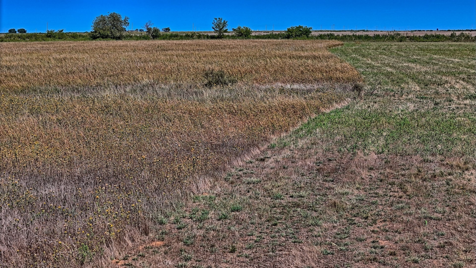 Tbd Dunn Road Olney TX 76374