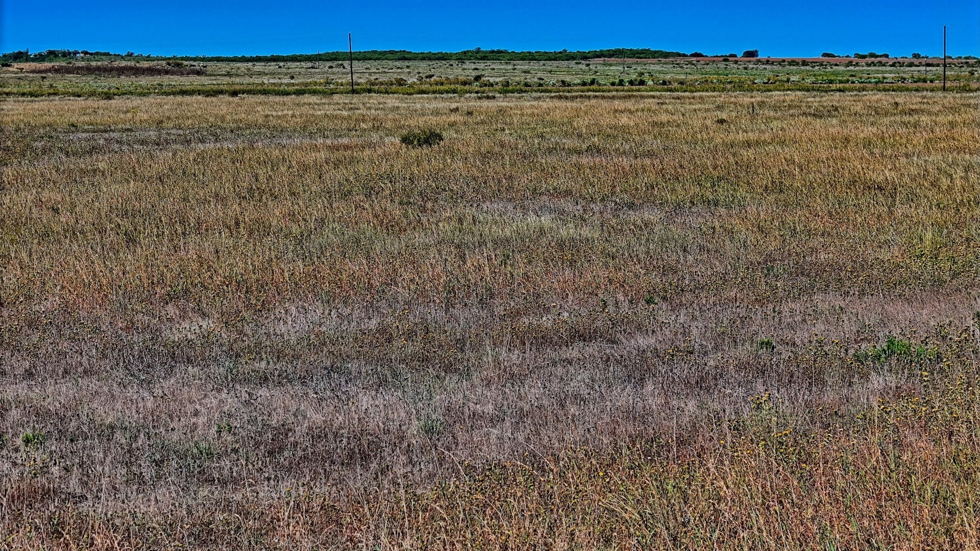 Tbd Dunn Road Olney TX 76374