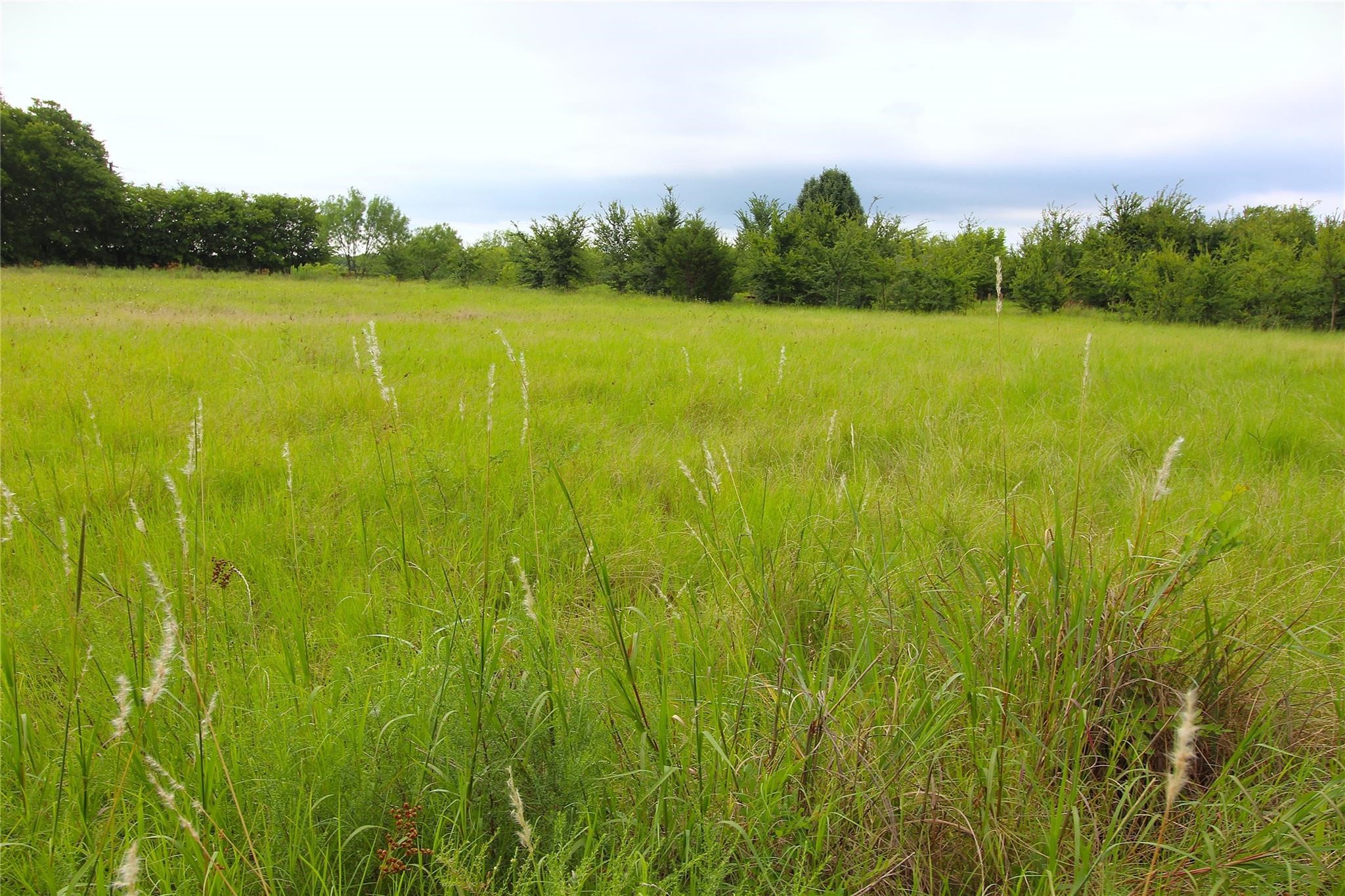Tbd Cr-4079 Scurry TX 75158