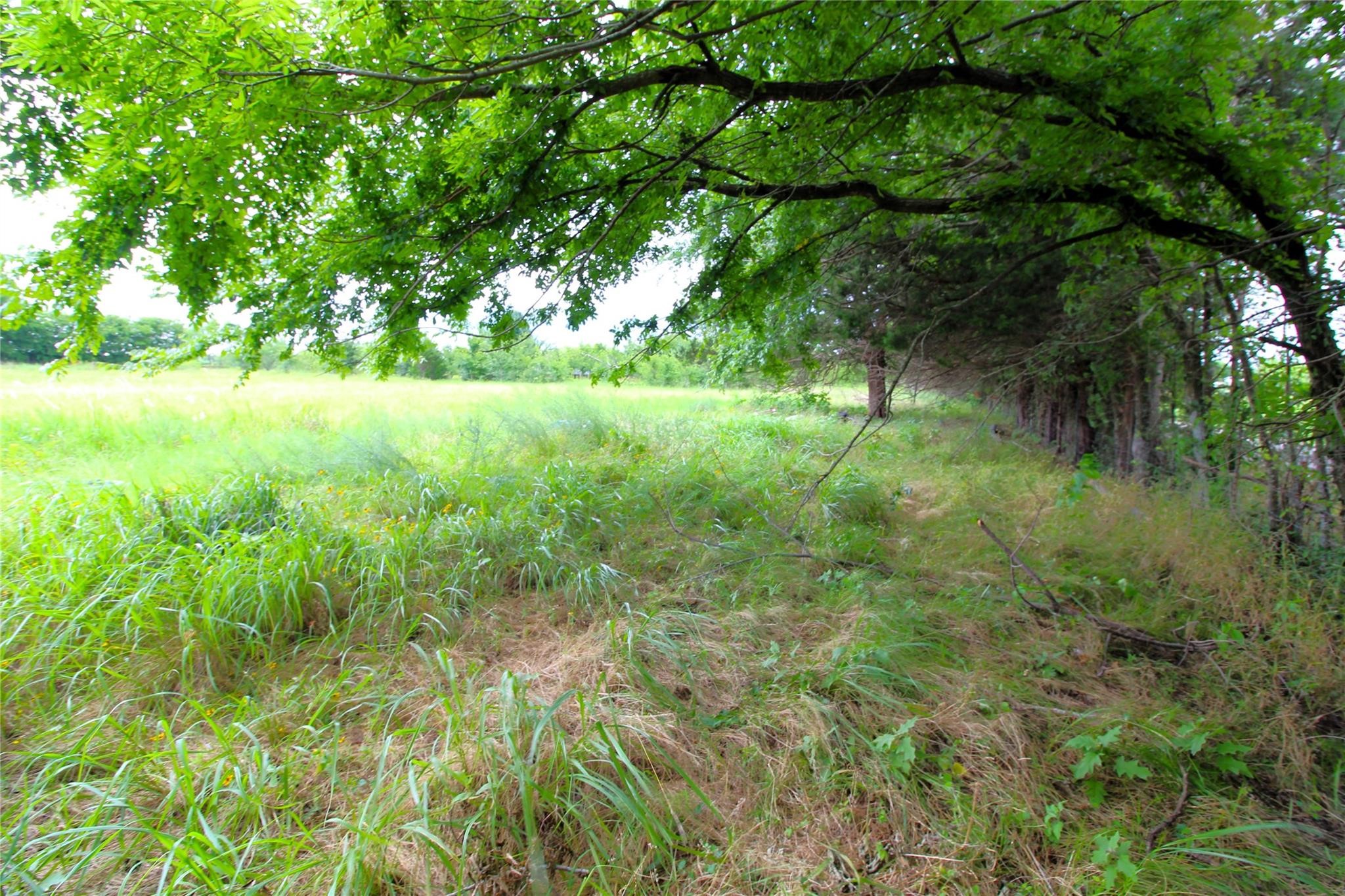 Tbd Cr-4079 Scurry TX 75158