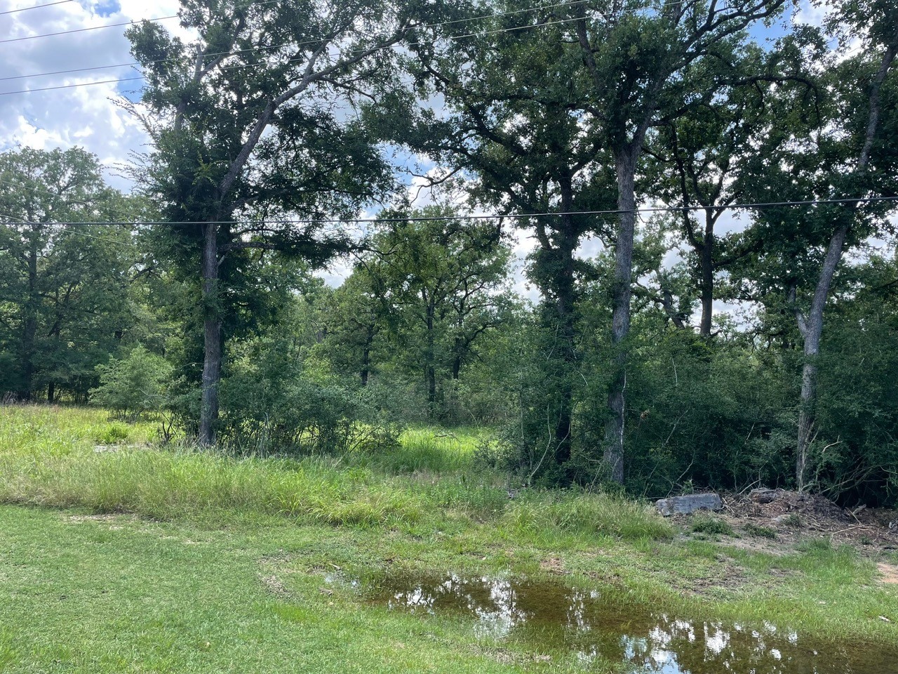 3495 Lcr 750 Thornton TX 76687
