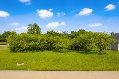 2207 Alyssum Drive Cedar Hill TX 75104