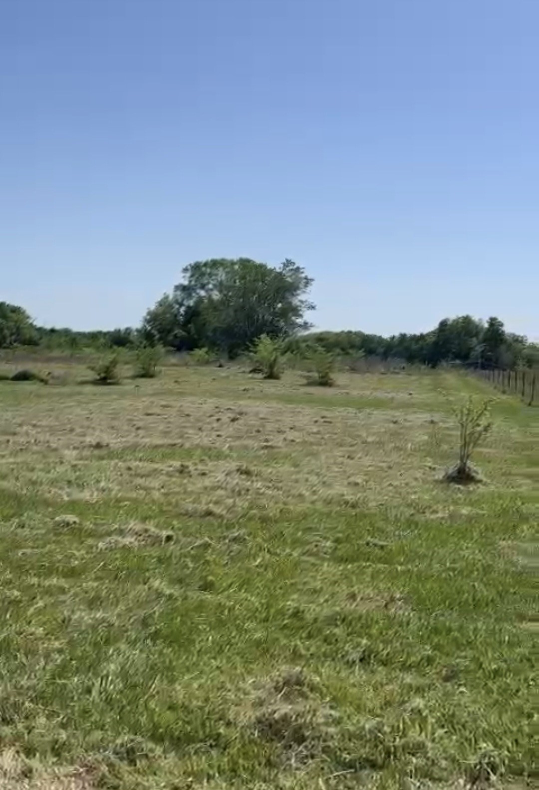 869 County Road 3908 Wills Point TX 75169