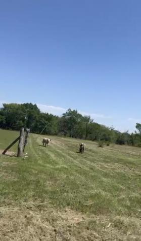 869 County Road 3908 Wills Point TX 75169