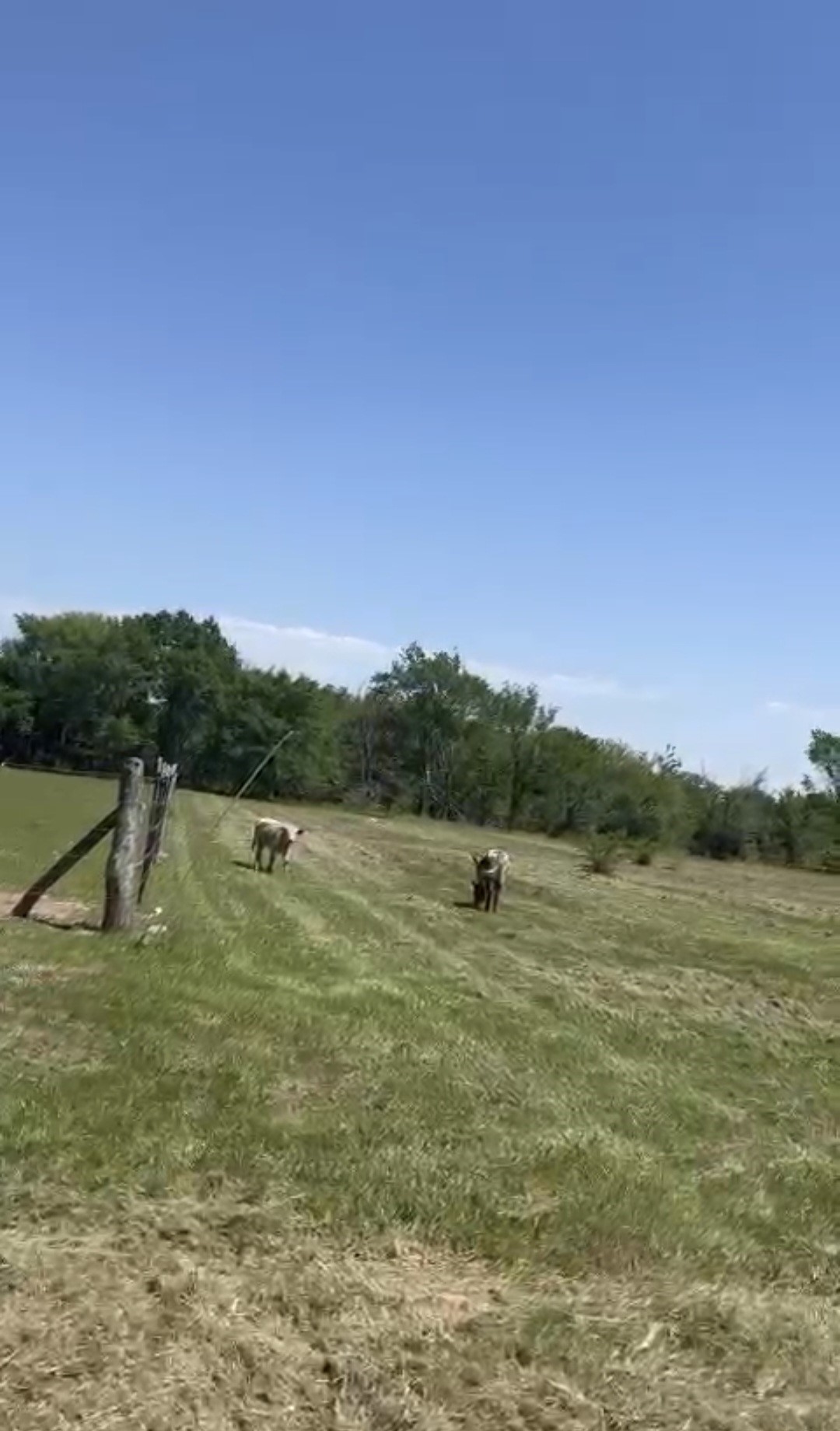 869 County Road 3908 Wills Point TX 75169
