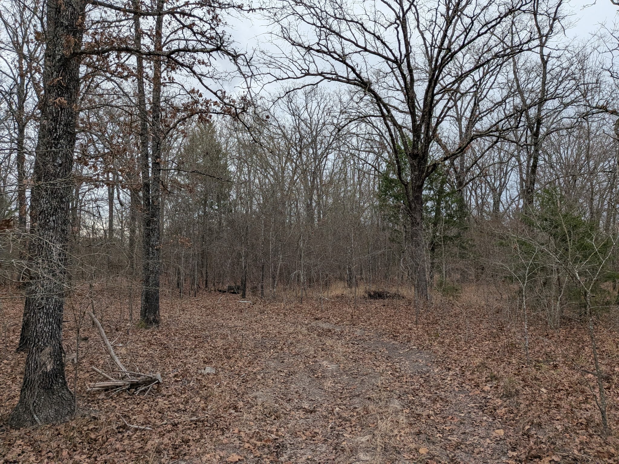 179 Rs County Road 2572 Alba TX 75410