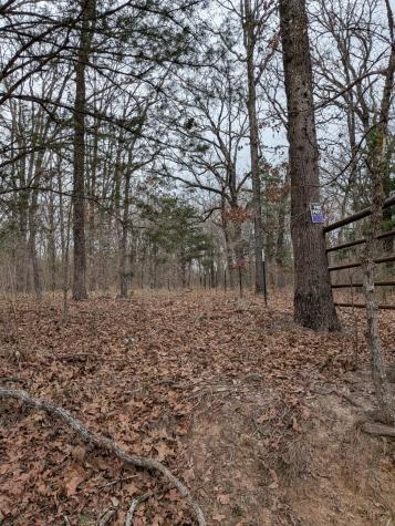 179 Rs County Road 2572 Alba TX 75410