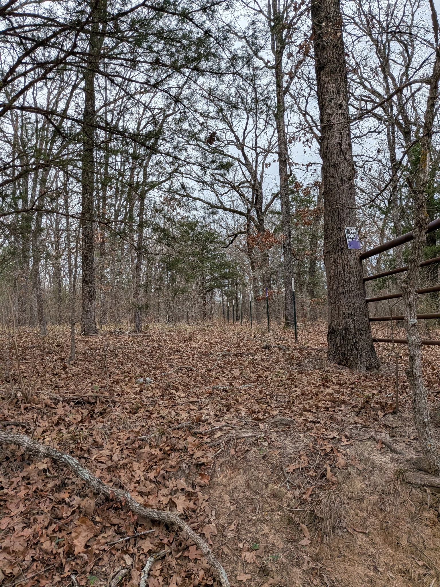 179 Rs County Road 2572 Alba TX 75410