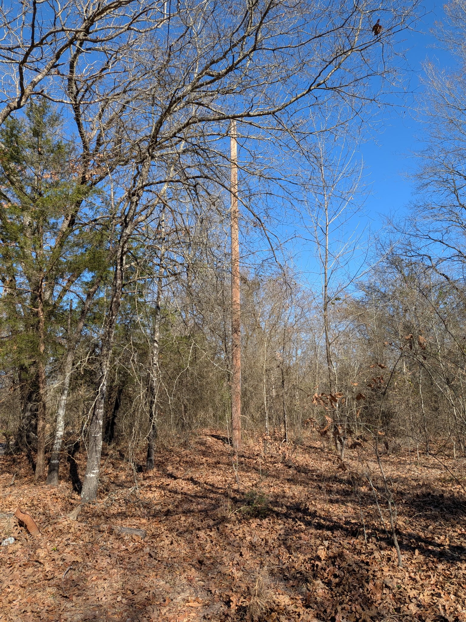 179 Rs County Road 2572 Alba TX 75410
