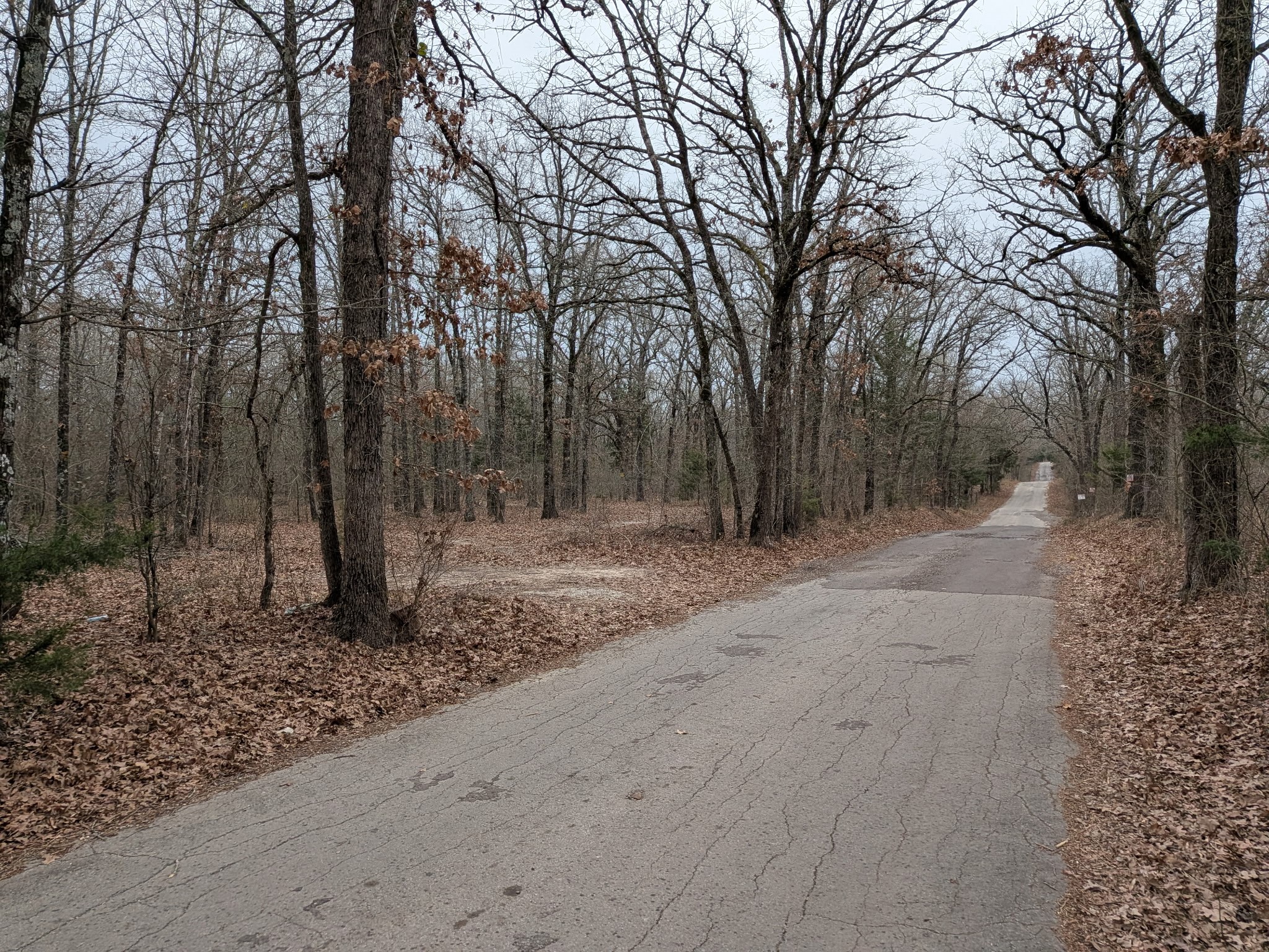 179 Rs County Road 2572 Alba TX 75410