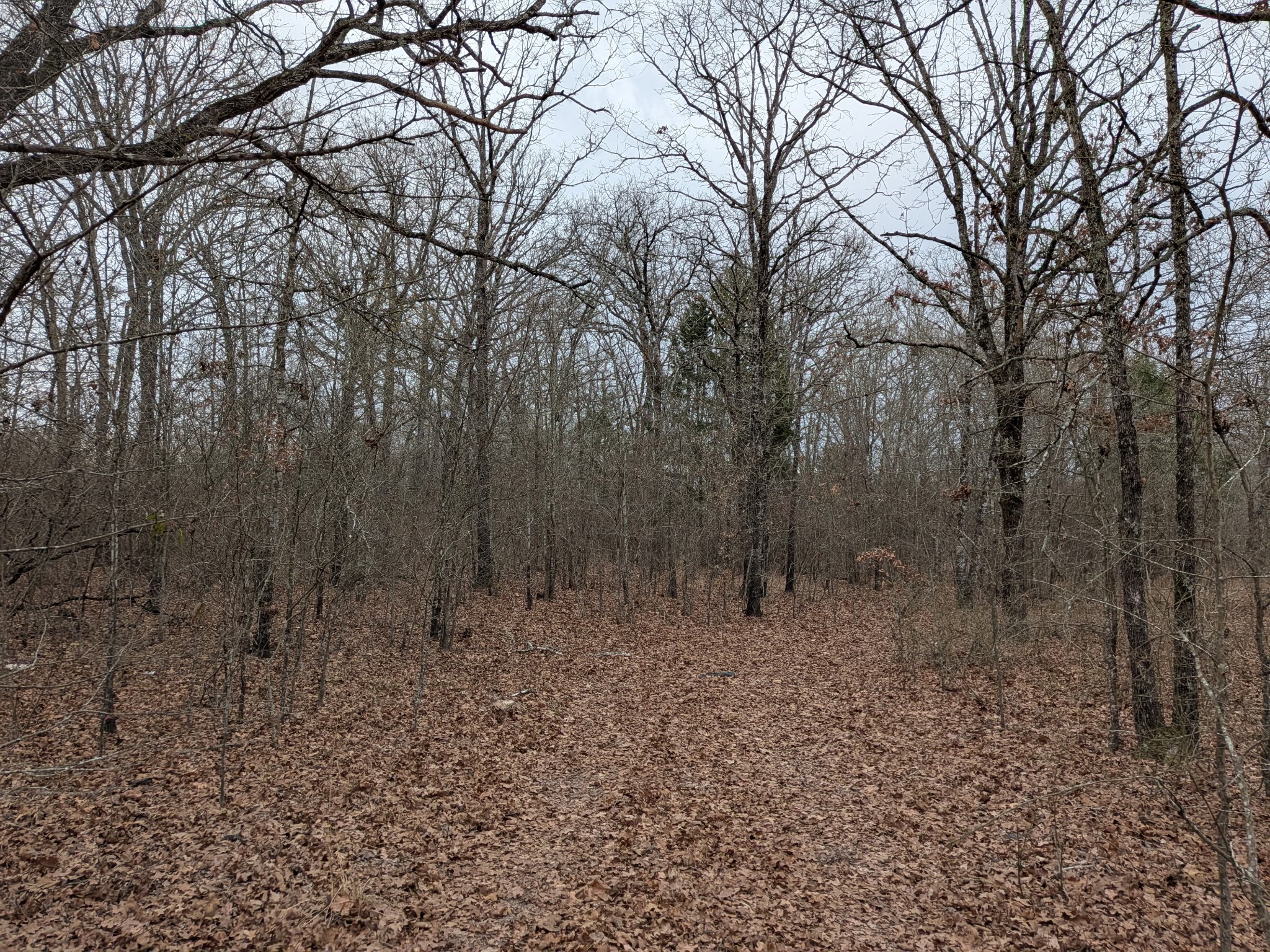 179 Rs County Road 2572 Alba TX 75410