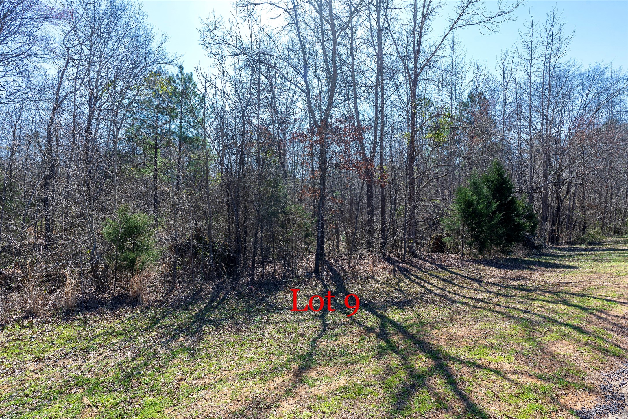 Lots 7,8,9 J Lazarine Fm 130 Hughes Springs TX 75656