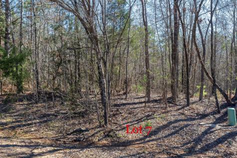 Lots 7,8,9 J Lazarine Fm 130 Hughes Springs TX 75656
