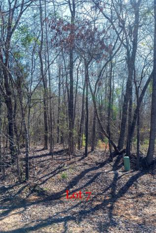Lots 7,8,9 J Lazarine Fm 130 Hughes Springs TX 75656
