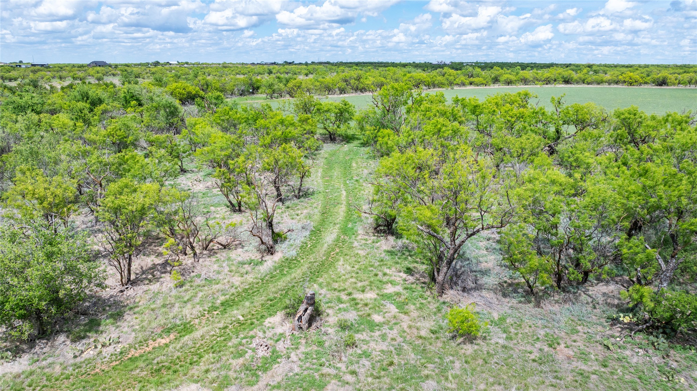 1681 E Highway 36 Abilene TX 79602