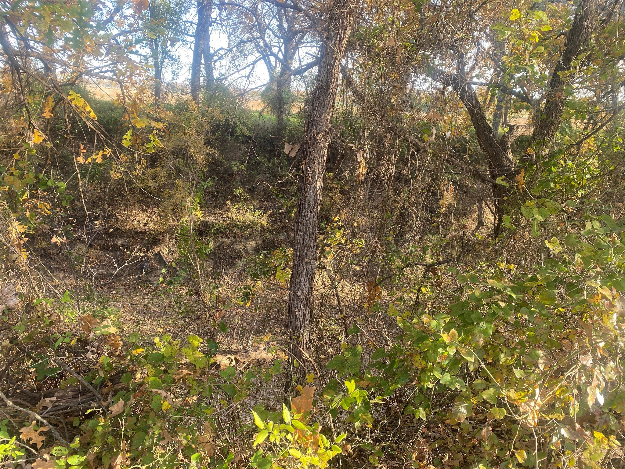 1251 # 1 Cr 360 Gustine TX 76455
