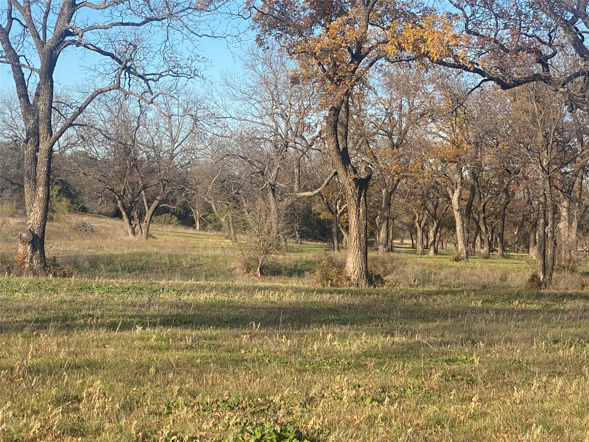 1251 # 1 Cr 360 Gustine TX 76455