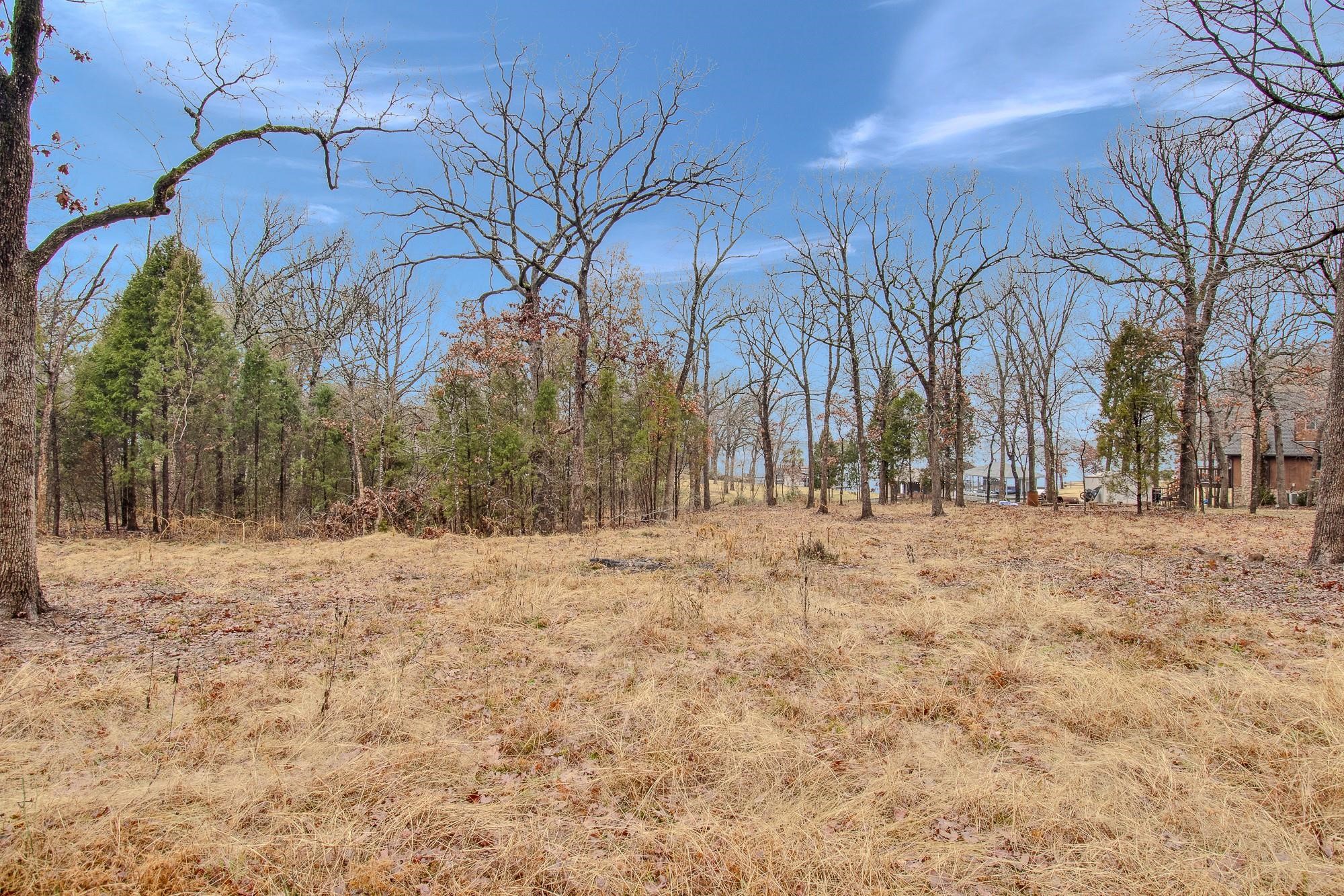 Tbd Clear Point Road Malakoff TX 75148
