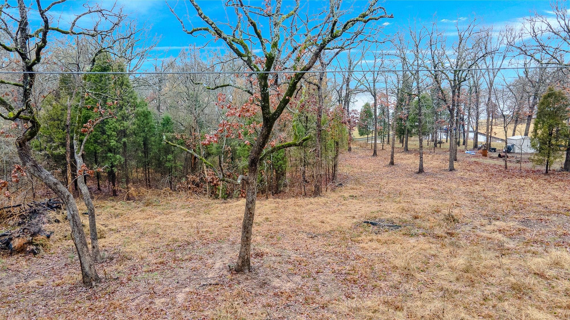 Tbd Clear Point Road Malakoff TX 75148