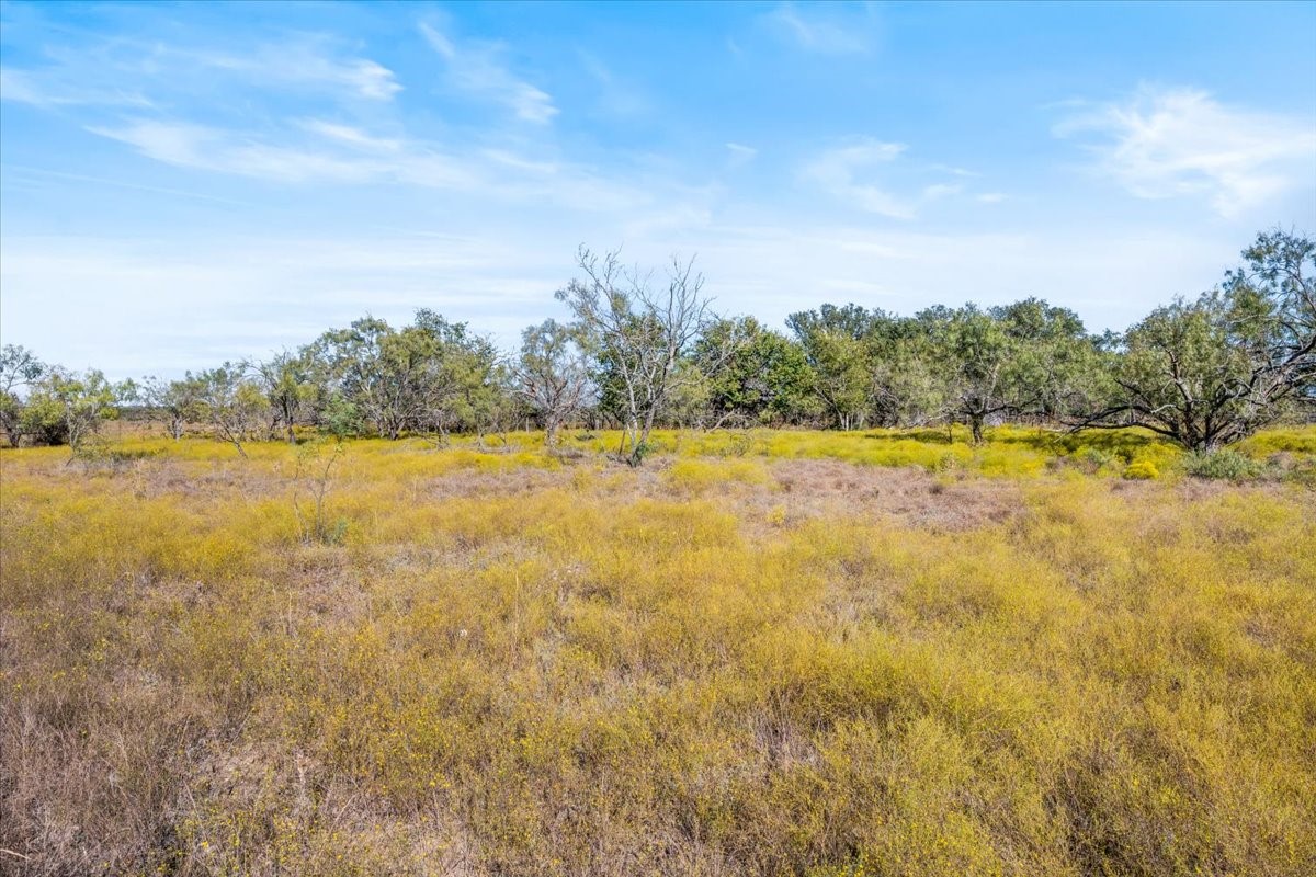 TBD-82.6 Acres Farm Market 221 Hamilton TX 76531