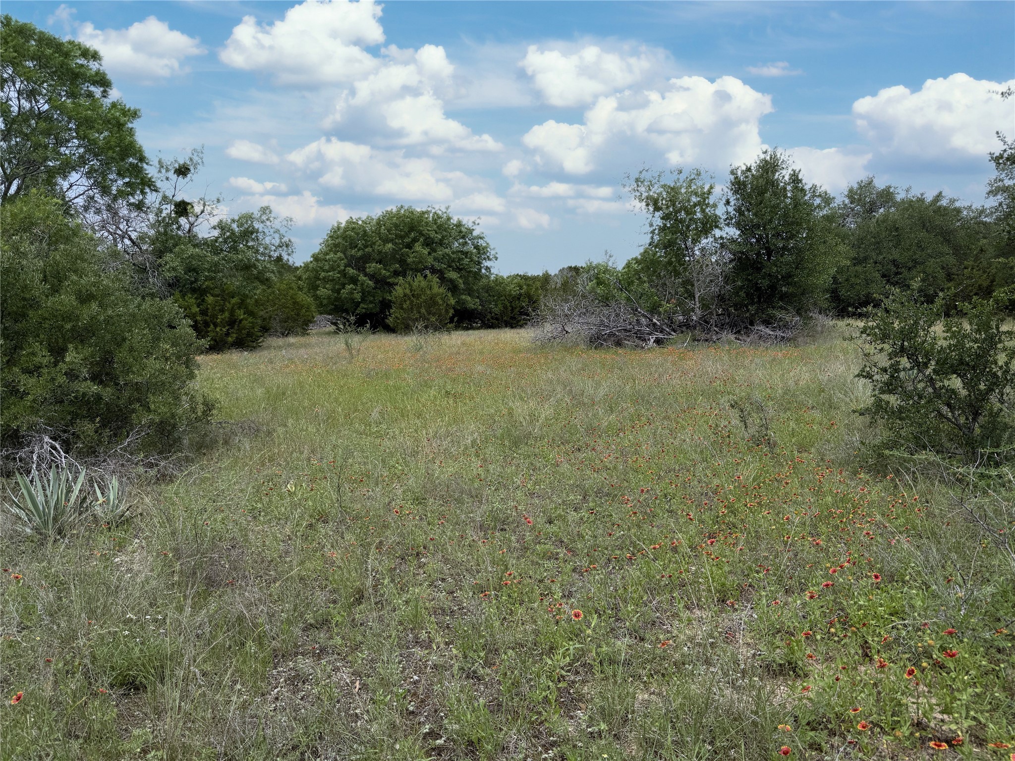 Tbd 2010 Glen Rose TX 76043