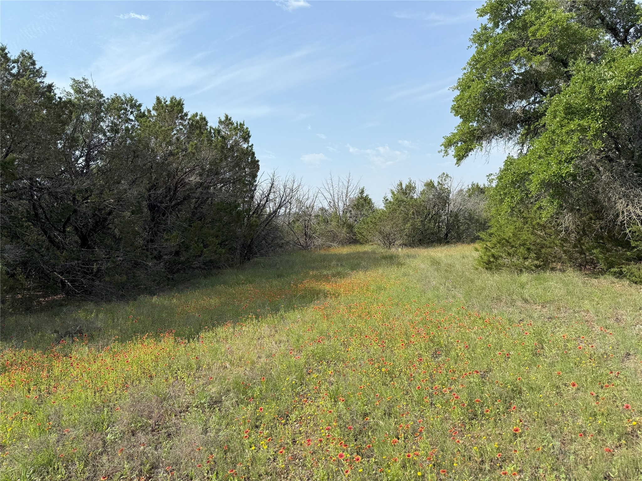 Tbd 2010 Glen Rose TX 76043